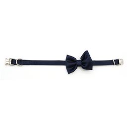 Croci Halsband Zeremonie Papillon Blau - S