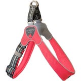 Geschirr Cinquetorri verstellbar Neonpink