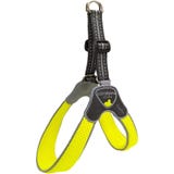 Coralpina Geschirr Cinquetorri Neongelb