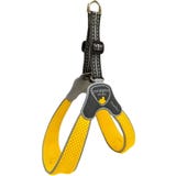 Coralpina Geschirr Cinquetorri Gelb