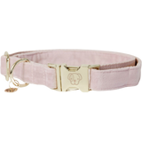 Kentucky Dogwear "Velvet" nyakörv világos rózsaszín