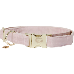 Kentucky Dogwear Dog Collar Velvet, Soft Rose