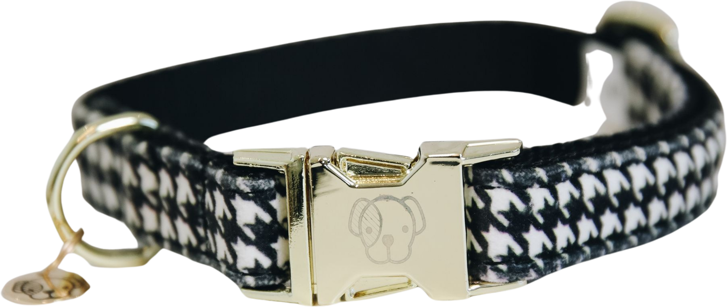 Kentucky Dogwear Hundehalsband 