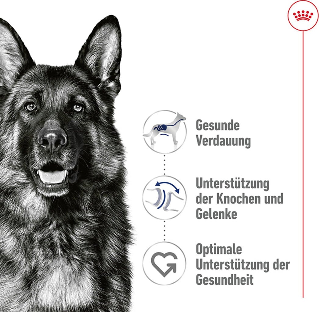 Royal Canin Maxi Adult Loaf Dose - 410 g