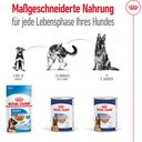 Royal Canin Maxi Adult Loaf Dose - 410 g