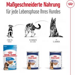 Royal Canin Maxi Adult Loaf Dose - 410 g