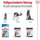 Royal Canin Maxi Ageing Loaf Dose - 410 g