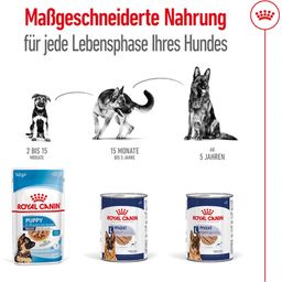 Royal Canin Maxi Ageing Loaf Dose - 410 g