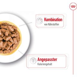 ROYAL CANIN Mini Ageing in Salsa 12x85 g - 1.020 g