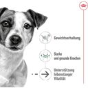 ROYAL CANIN Mini Ageing in Salsa 12x85 g - 1.020 g