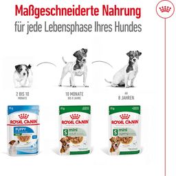 Royal Canin Mini Ageing in Soße 12x85 g - 1.020 g