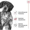 Royal Canin Medium Adult in Soße 10x140 g - 1.400 g