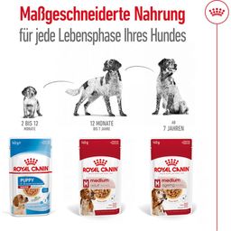 Royal Canin Medium Adult in Soße 10x140 g - 1.400 g