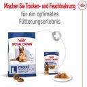 Royal Canin Maxi Ageing in Soße 10x140 g - 1.400 g