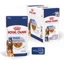 Royal Canin Maxi Ageing in Soße 10x140 g - 1.400 g