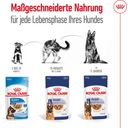 Royal Canin Maxi Ageing in Soße 10x140 g - 1.400 g