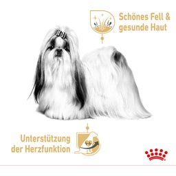 Royal Canin Shih Tzu Adult Mousse 12x85g - 1.020 g