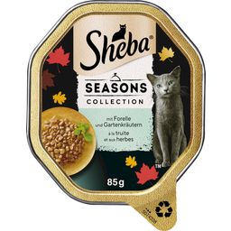 Sheba Schale Seasons Collection in Sauce - 85 g