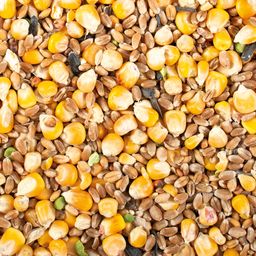 Duvoplus Mešanica semen in žit za perutnino 20 kg - 1 vre.
