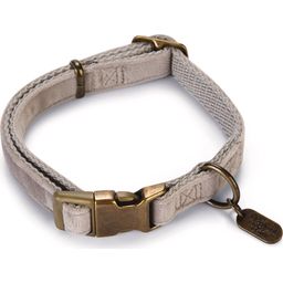 Designed by Lotte Hundehalsband Velura Grau - 26-40x1,5