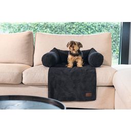 Designed by Lotte Couchkissen Hund Ribbed Anthrazit - 50x45 cm