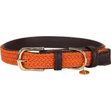 Kentucky Dogwear Hundehalsband Plaited Nylon, orange