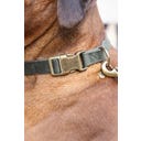 Designed by Lotte Collare per Cani Velura, Verde - 48-70X25