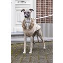 Designed by Lotte Hundemantel Philos Beige - XL - 36 cm