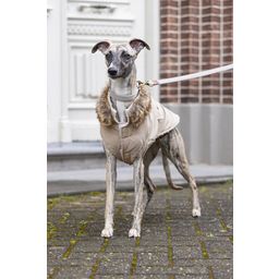 Designed by Lotte Hundemantel Philos Beige - XL - 36 cm