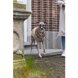 Designed by Lotte Hundemantel Philos Beige - XL - 36 cm