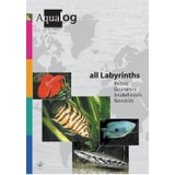 Animalbook All Labyrinths