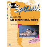 Animalbook Loricariidae "Die Schönsten L-Welse"