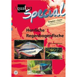 Animalbook Herrliche Regenbogenfische im Aquarium - 1 pz.