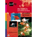 Alle Goldfische u. Schleierschwänze / All Goldfish - 1 Stk