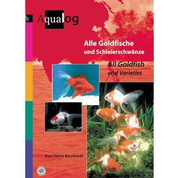 Alle Goldfische u. Schleierschwänze / All Goldfish - 1 pz.
