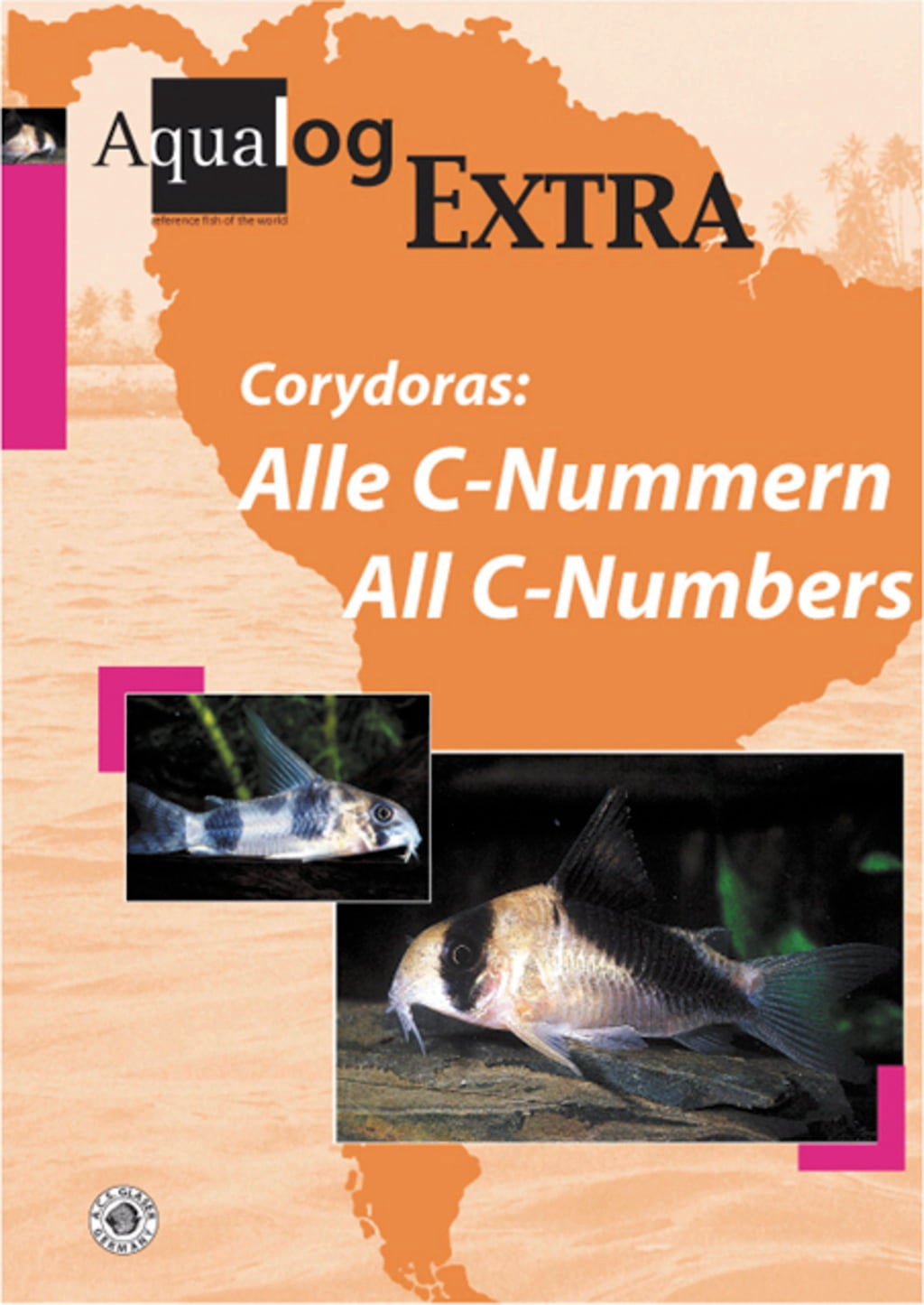 Corydoras: Alle C-Nummern / all C-Numbers - 1 Stk