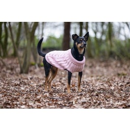 Designed by Lotte Maglioncino per Cani Haida, Rosa - XXL - 40 cm