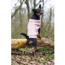 Designed by Lotte Maglioncino per Cani Haida, Rosa - XXL - 40 cm