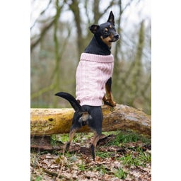 Designed by Lotte Maglioncino per Cani Haida, Rosa - XXL - 40 cm