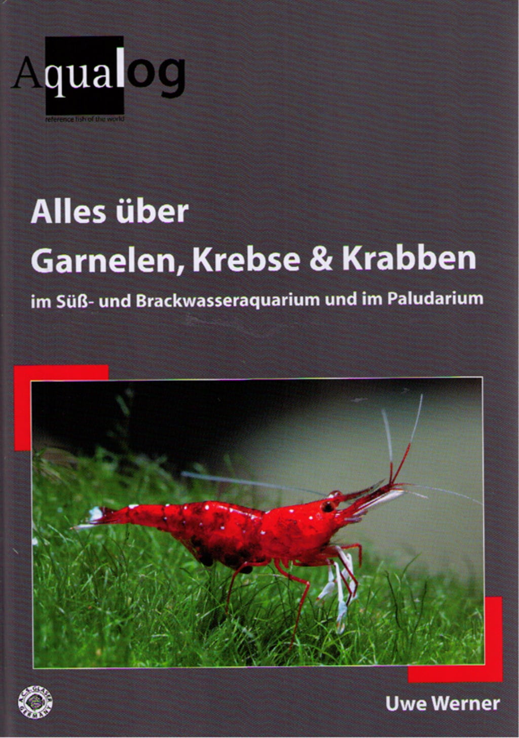 Alles über Garnelen, Krebse & Krabben im Süß- und Brack - 1 Stk