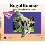 Animalbook Segelflosser