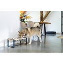 Designed by Lotte Dinnerset per Cani in Legno Karinto - 48x22