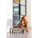 Designed by Lotte Holz Hunde Dinnerset Karinto - 56x28