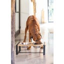 Designed by Lotte Holz Hunde Dinnerset Karinto - 56x28