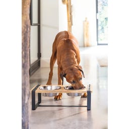 Designed by Lotte Holz Hunde Dinnerset Karinto - 56x28