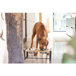 Designed by Lotte Holz Hunde Dinnerset Karinto - 56x28