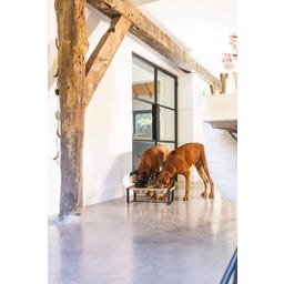 Designed by Lotte Holz Hunde Dinnerset Karinto - 56x28