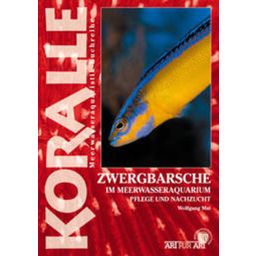 Animalbook Zwergbarsche im Meerwasseraquarium - 1 pz.