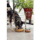 Designed by Lotte Hunde Holznapf Mandira - 16,5 cm