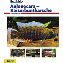 Animalbook Aulonocara-Kaiserbuntbarsche - 1 pz.
